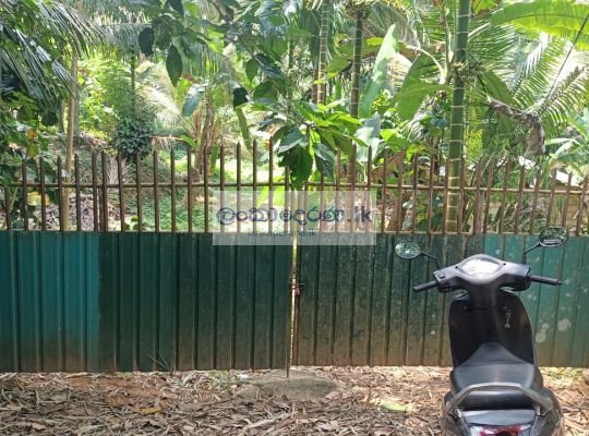 Land for quick sale Kurunegala ,polpitiya