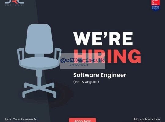 Software Engineer