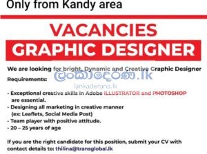 Graphic designer