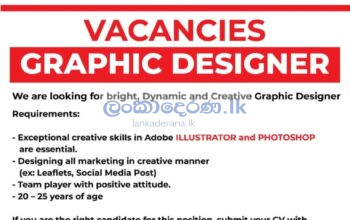 Graphic designer