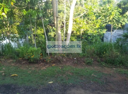 Land for sale in Pilana.