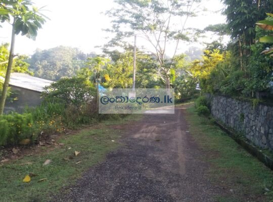 Land for sale in Pilana.