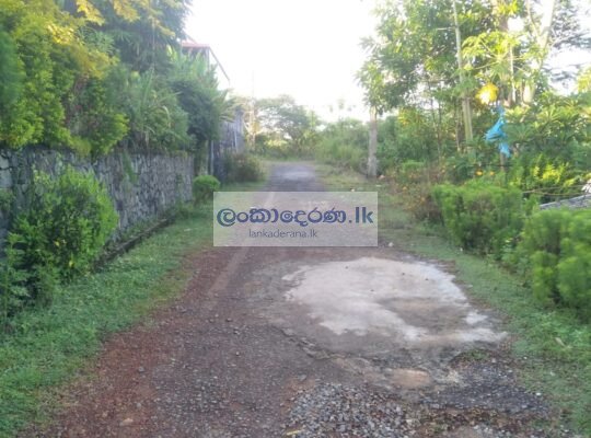 Land for sale in Pilana.