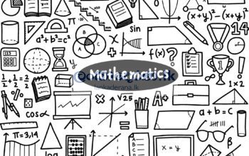 Mathematics Grade 6-11 English Medium(local,Edexcel) ONLINE