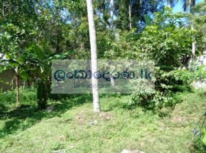 land for sale in Yakkala (in Kirindiwela road)