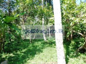 land for sale in Yakkala (in Kirindiwela road)