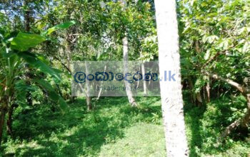 land for sale in Yakkala (in Kirindiwela road)