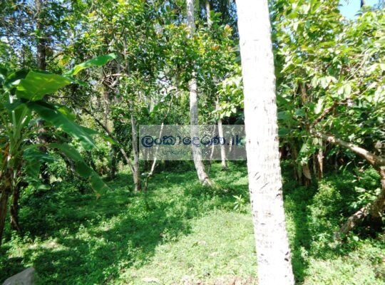 land for sale in Yakkala (in Kirindiwela road)