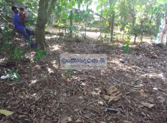 Land for sell kaduwela