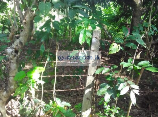 Land for sell kaduwela