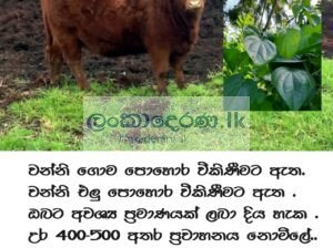 ගොම පොහොර විකිණීමට