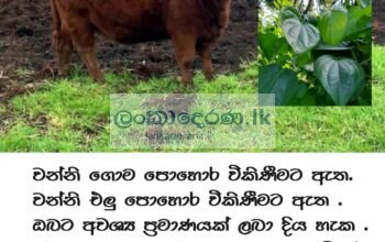 ගොම පොහොර විකිණීමට