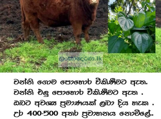 ගොම පොහොර විකිණීමට