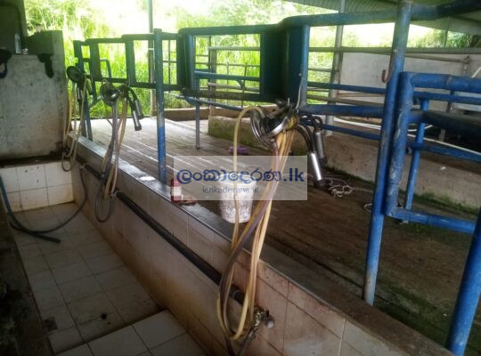 Jayasri milking matching service center kurunegala