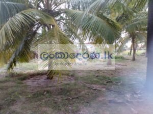 Land for sale Kalpitiya