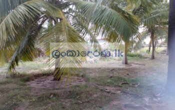 Land for sale Kalpitiya