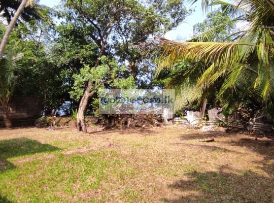 Land with a Commercial Building Bordering tranquil Bolgoda River