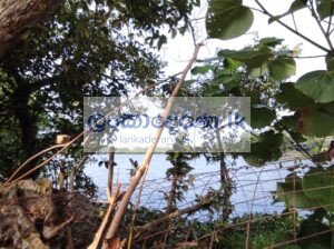 Land with a Commercial Building Bordering tranquil Bolgoda River