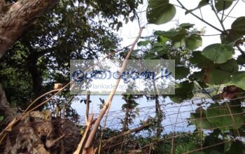 Land with a Commercial Building Bordering tranquil Bolgoda River