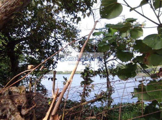 Land with a Commercial Building Bordering tranquil Bolgoda River