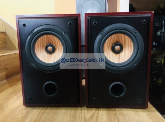 Handmade Bookshelf Speaker