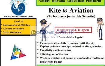 Kite to Aviation Level-2