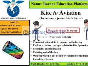 Kite to Aviation – Level 3