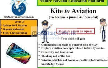 Kite to Aviation – Level 3