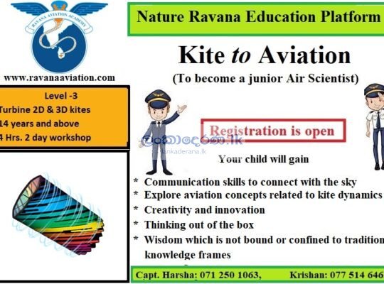 Kite to Aviation – Level 3