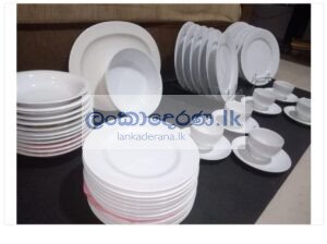 Porcelain set