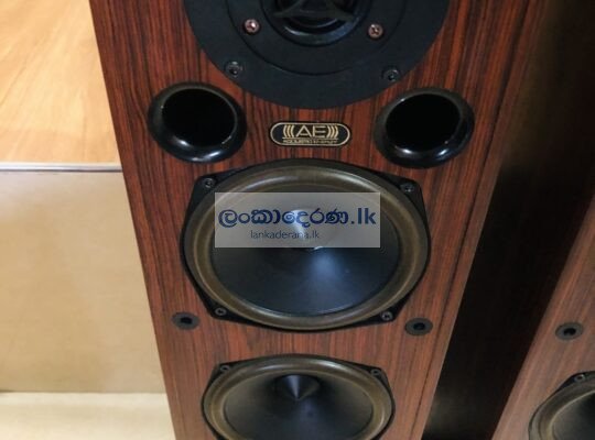 Acoustic Energy Floorstanding Speaker