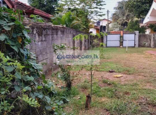 Land for sale