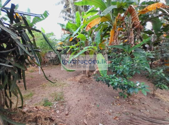 Land for sale