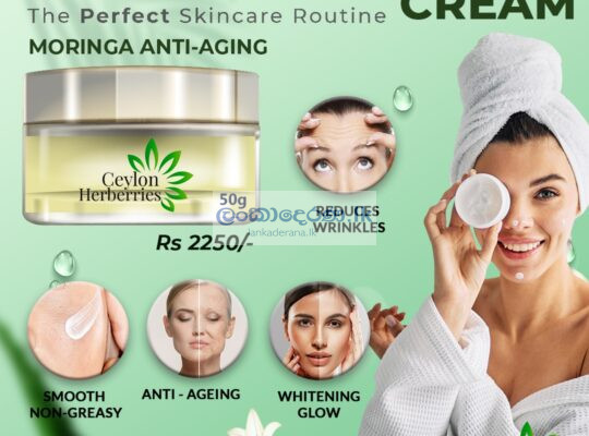 Moringa Night Cream