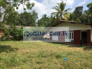 House For Rent in Bentota බෙන්තොටින් නිවසක් කුළියට