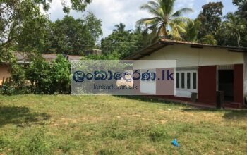 House For Rent in Bentota බෙන්තොටින් නිවසක් කුළියට