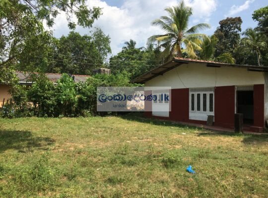 House For Rent in Bentota බෙන්තොටින් නිවසක් කුළියට