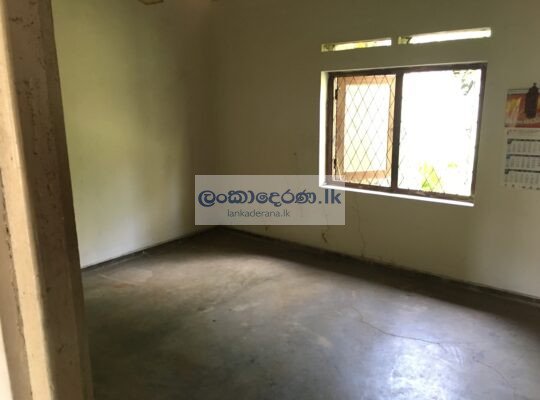 House For Rent in Bentota බෙන්තොටින් නිවසක් කුළියට