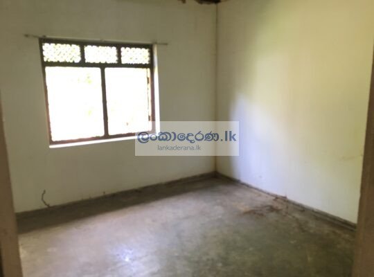 House For Rent in Bentota බෙන්තොටින් නිවසක් කුළියට