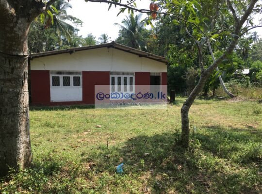 House For Rent in Bentota බෙන්තොටින් නිවසක් කුළියට