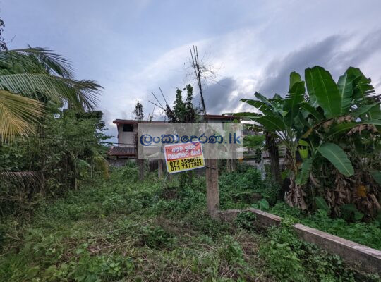 Land for sale in Horana