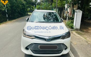 Toyota Axio Car for rent