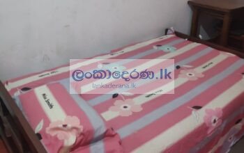 Room for Rent in Colombo,Maharagama.