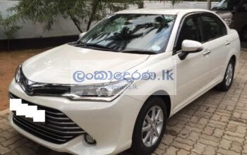 Rent a car Axio Hybrid