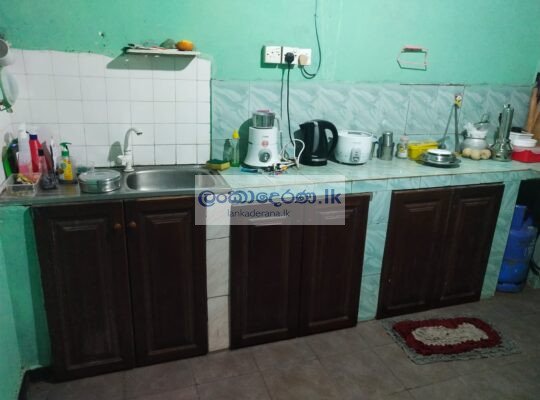 Soysapura house for rent