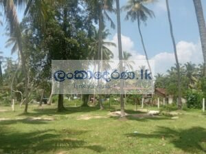 Land for sale Katunayake