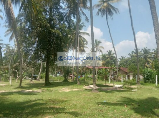 Land for sale Katunayake