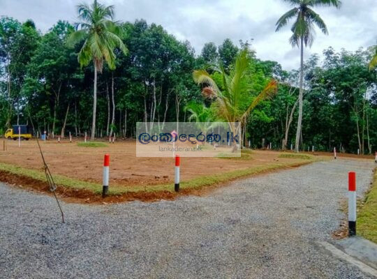 Valuable Land for Sale – Nittambuwa