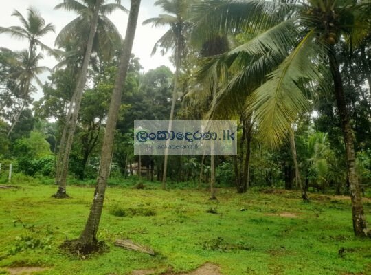 Land for sale Katunayake