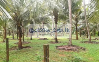 Land for sale Katunayake